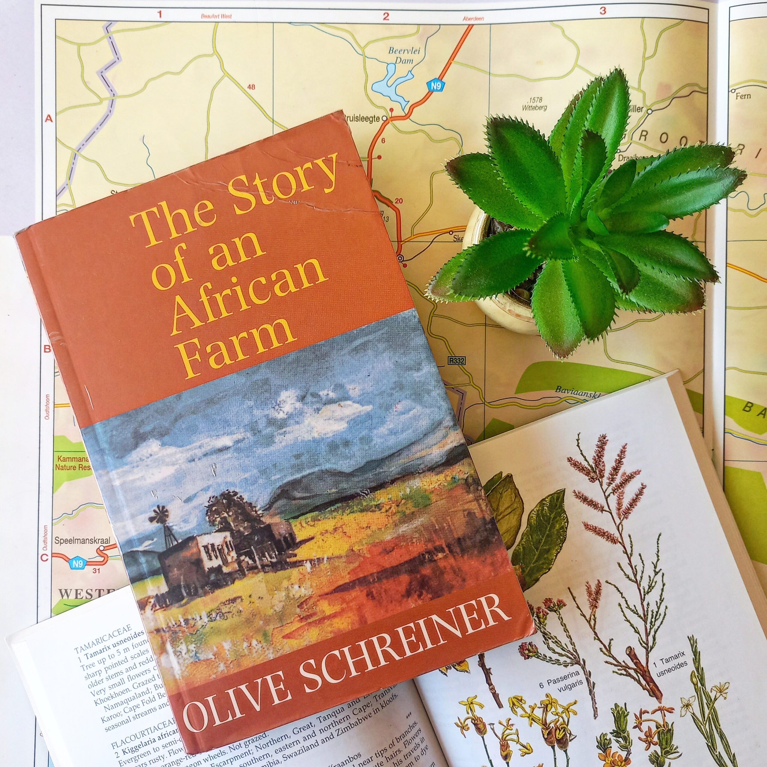Revealing the Complexity of Human Relationships: A Review of Olive Schreiner’s ‘Story of an African Farm’